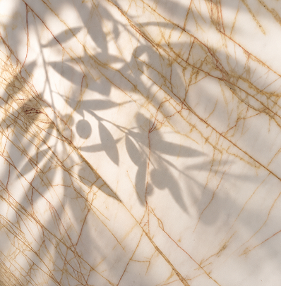 SPIDER GOLD