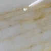 Gold Spider